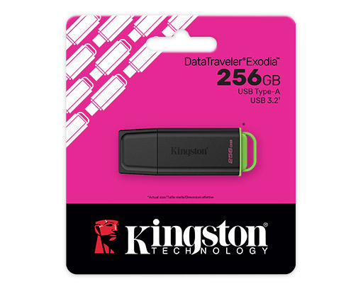 KINGSTON DTXG2-256g usb 3.2  DTXG2-256g