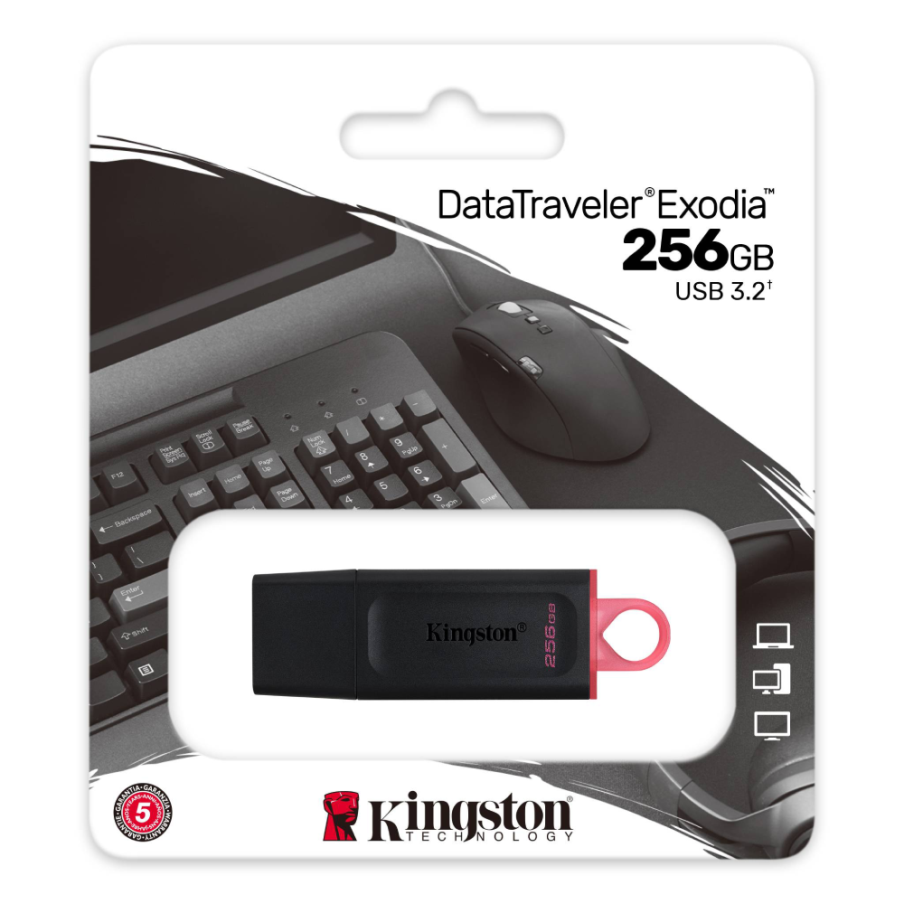 KINGSTON DTX-256g usb 3.2  DTX-256g