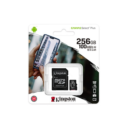 KINGSTON SDCS2-256g v10  SDCS2-256g v10